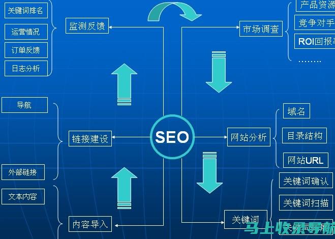 揭秘SEO网站推广背后的目的